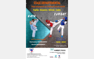 Stage de karaté pupilles à cadets