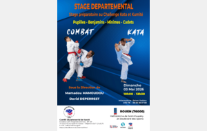 Stage de karaté pupilles à cadets