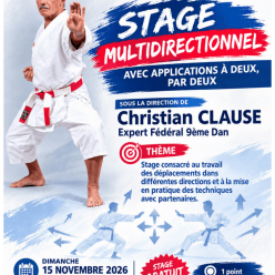 STAGE DE KARATE 6 CHRISTIAN CLAUSE 9èME DAN